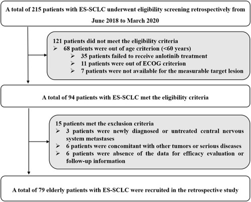 Figure 1 The flow chart of the retrospective study of anlotinib in the treatment for elderly patients with previously treated extensive-stage small cell lung cancer.