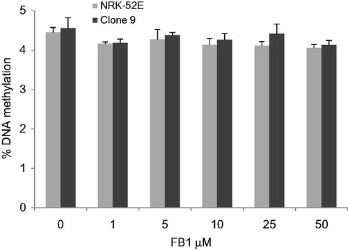 Figure 3. Effects of FB1 (1, 5, 10, 25, and 50 µM) on global DNA methylation in NRK-52E and Clone 9 cells after 24 h incubation. Data are presented as mean ± standard deviation (n = 6). Genomic DNA was extracted and hydrolyzed to deoxyribonucleosides. Global methylation status was quantified by HPLC-UV/DAD.