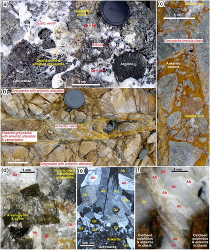 Figure 5. Contrasting hydrothermal breccia textures in Wilberforce catchment. A, Silicified and sulphidic breccia on margin of a quartz ± albite vein cutting greywacke and argillite, Unknown Stream. B, Ankeritic alteration zone in soft cataclasite cutting unfoliated greywacke, Unknown Stream. C, Breccia with ankeritic cement and minor quartz, cutting unfoliated greywacke, Unknown Stream. D, Silicified greywacke breccia with coarse sulphides on margin of gold-bearing quartz-albite vein (Qz,Ab), Wilberforce headwaters. E, Photomicrograph (crossed polars) of coarse grained hydrothermal albite and medium grained hydrothermal quartz in a vein enclosing a greywacke clast with ankeritic alteration. Gold-bearing vein, Wilberforce headwaters. F, Sulphidised argillite clasts on margin of gold-bearing quartz-albite vein, Wilberforce headwaters. Gold is not visible, but is associated with the oxidised sulphides.