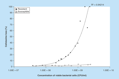 Figure 2.  Effect of bacterial concentration on cefotaxime loss.Various concentrations of cefotaxime-resistant extended-spectrum β-lactamase- and AmpC-producing E. coli (circles) or cefotaxime-susceptible E. coli (triangles) were incubated with 20 μg/ml cefotaxime for 1 h and the loss of cefotaxime determined by the HPLC assay. Each data point is the mean of three technical replicates of assay; four different concentrations (tenfold dilutions) were assessed on four different occasions. The concentration of viable bacterial cells was determined for each experiment.