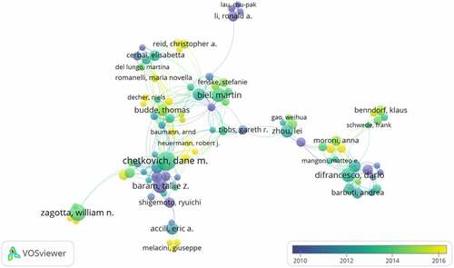 Figure 4. The network of authors contributed to HCN channels research.