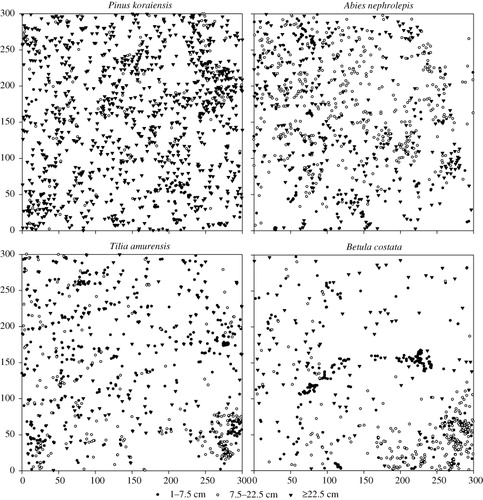 Figure 2. Spatial distribution of four species of the study plot.