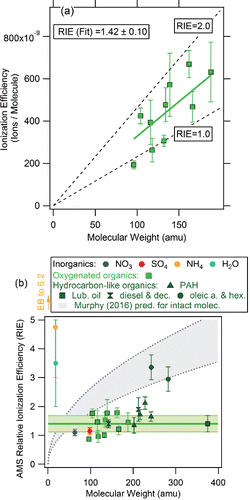 Figure 2. Calibration data for different species in the AMS. (a) Calibration data used to derive RIEOA = 1.4 for ambient organic aerosol mass calculations (Canagaratna et al. Citation2007). The calibration dataset includes several types of organic species including methanesulfonic acid, malonic acid, maleic acid, succinic acid, glutaric acid, malic acid, nitrophenol, levoglucosan, phthalic acid, and azelaic acid (P. Silva, Aerodyne Research and Boston College, unpublished work). Particles were generated by atomization of aqueous or organic solutions of the species, size selected with a differential mobility analyzer and counted with a condensation particle counter. (b) Scatter plot of measured RIEs vs. species MW for the organic species in Figure 2a as well as published RIEs values for hydrocarbons (lubricating oil, decane, and 4 PAHs) from Slowik et al. (Citation2004) and Dzepina et al. (Citation2007), and unpublished values for diesel, oleic acid and hexadecanol (P. Silva, Aerodyne Research and Boston College). Values for inorganic species are also shown. The horizontal (green) line and light gray region denote RIEOA = 1.4 with 2σ uncertainty of 20%. The region between the dashed green lines shows the range of estimated dependence for intact species resistant to thermal decomposition in Murphy (Citation2016). Note that PAHs and lubricating oil would be expected to lie in between these lines according to the M16 model. “EB to 6.2” (error bar) is added to mark that RIENH4 up to 6.2 are often measured (Salcedo et al. Citation2006; Canagaratna et al. Citation2007).