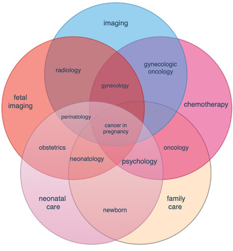 Figure 1 Venn diagram illustrating the management of patients diagnosed with ovarian cancer in pregnancy.