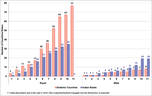 Figure 1. Typhoid conjugate vaccine introduction forecast: Rapid introduction scenario and slow introduction scenarios show cumulative number of countries and Indian states forecasted to introduce TCV by year starting from base year (2020).
