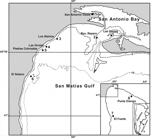 Fig. 1. Map of the northern region of the Gulf of San Matías showing the nine sampling stations and locations in the study area of Argentina.