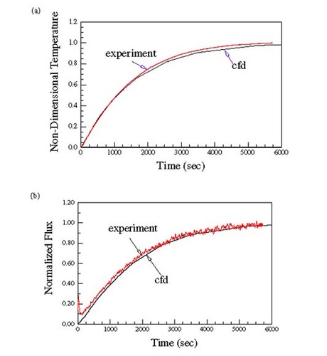 Figure 1 (a) Temperature history; (b) Heat flux history.