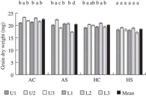 Figure 1. Final grain dry weight of primary (1), secondary (2), and tertiary (3) spikelets in the upper (U) and lower (L) parts of a panicle and mean grain weight of a panicle. Error bars represent standard error (n = 5). The same letters indicate no significant difference among spikelet positions in a treatment (Tukey’s test). AC: Ambient temperature without shading; AS: ambient temperature with shading; HC: high temperature without shading; HS: high temperature with shading.