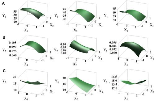 Figure 4 Effects of independent factors on response variables: three-dimensional response surface plots of Y1 (A), Y2 (B), and Y3 (C).
