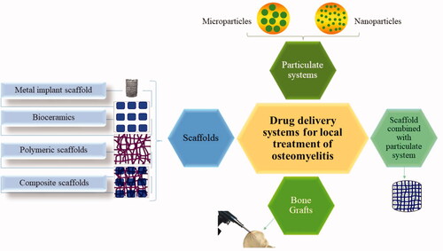 Figure 1. Local drug delivery systems under investigation for the management of osteomyelitis.