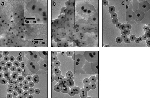 Figure 3. Transmittance electron microscopy (TEM) images of Au/SiO2-NH2 particles. Insets are high magnification images. The samples were prepared at various APES concentrations, which were identical to those in Fig. 1