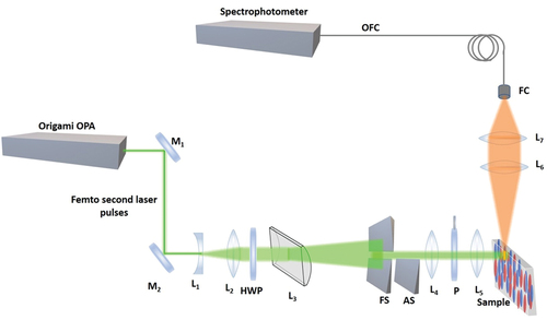 Figure 1. (Colour online) Schematic diagram of the experimental setup for ASE orientation measurements. The plane of polarization is rotated with a half-wave plate (HWP). M1, M2 dielectric mirrors, L1 – L7 lenses, HWP – halfwave plate (@532nm), P – polarizer, FS – fixed slit, AS – Adjustable slit, FC – fibre coupler.
