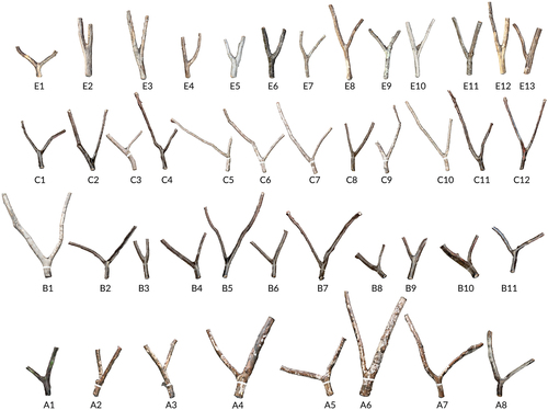 Figure 13. 3D-scanned inventory of forks (44 elements).