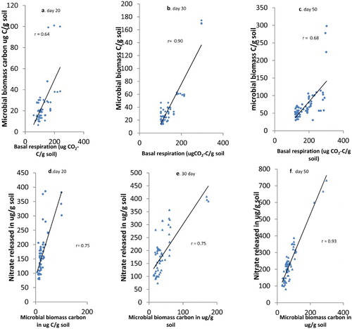 Figure 8. (a–c) Correlation between micobial biomass carbon and basal respiration at days 20, 30 and 50. (d–f) Correlation between microbial biomass carbon and nitrate released at days 20, 30 and 50 days of incubating soils with different biochar amendments and polluted with pesticides. r is the correlation coefficient.