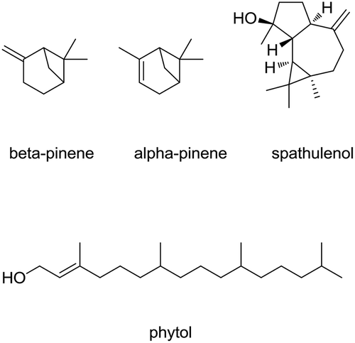 Figure 1. Chemical structures of the major components of Hymenocrater bituminous essential oil.