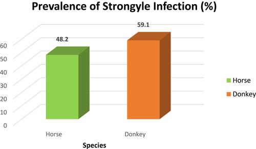 Figure 1 Prevalence of strongyle infection with regard to species.