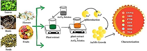 Figure 1. Green synthesis of nanoparticles.