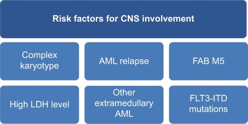 Figure 2 Risk factors for symptomatic AML patients with potential CNS involvement at initial diagnosis of AML.