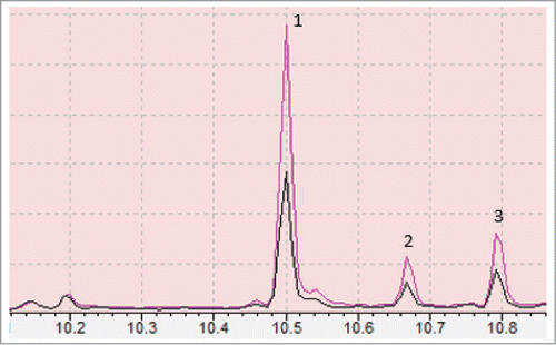 Figure 4. Chromatograph showing differential production of phytols in transgenic strains SBG102 (pink) verses control strains SBG101 (black) where peak 1, 2 and 3 represent phytol acetate and 2 phytols (likely sterioisomers), respectively. Numbers on the bottom represent retention time (RT) in minutes.