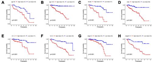 Figure 5 Subgroup analysis. The applicability of survival-predicting signature in different clinical characteristic groups (A) age ≥ 65; (B) age <65; (C) female; (D) male; (E) G1-2; (F) G3-4; (G) stage I–II and (H) stage III–IV). P < 0.05 was considered as statistically significant.