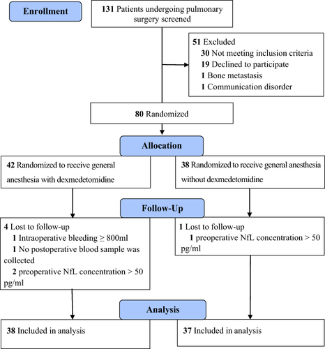 Figure 1 Patient flow though the study.