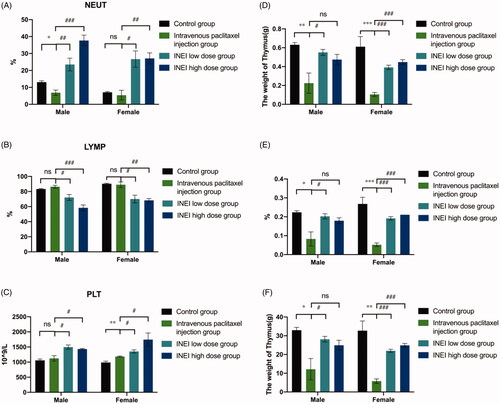 Figure 9. Effects of single administration of different paclitaxel preparations on blood leukocyte classification and organ weight. (A–C) Effects of NEUT% (Neutrophil/White blood cell count), LYMP% (Lymphocyte/White blood cell count) and PLT (Platelet count) on the blood in different paclitaxel preparations. (D–F) Effects of Thymus weight, Thymus relative body mass factor and Thymus relative to brain weight factor in four differ groups. Note: Compared with the control group, *p < .05; **: p < .01; ***: p < .001; compared with Intravenous paclitaxel injection group, #: p < .05; ##: p < .01; ###: p < .001.