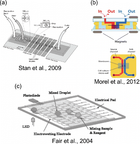 Figure 3. Selected microfluidic methods for producing temperature gradients, chemical gradients, and electric fields. (a) Reproduced from Stan, C. A., Schneider, G. F., Shevkoplyas, S. S., Hashimoto, M., Ibanescu, M., Wiley, B. J. and Whitesides, G. M. (2009). A Microfluidic Apparatus for the Study of Ice Nucleation in Supercooled Water Drops. Lab Chip, 9(16):2293–2305 with permission of The Royal Society of Chemistry. (b) Reproduced from Morel, M., Galas, J.-C., Dahan, M. and Studer, V. (2012). Concentration Landscape Generators for Shear Free Dynamic Chemical Stimulation. Lab Chip, 12(7):1340–1346 with permission of The Royal Society of Chemistry. (c) Reproduced from Fair, R. B., Khlystov, A., Srinivasan, V., Pamula, V. K. and Weaver, K. N. (Citation2004). Integrated Chemical/Biochemical Sample Collection, Pre-Concentration, and Analysis on a Digital Microfluidic Lab-on-a-Chip Platform. Edited by Linda A Smith and Daniel Sobek. Proc. SPIE, 5591:113–124 with permission of SPIE.