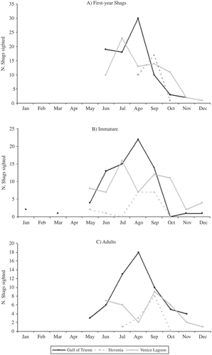 Figure 4. Seasonal use of the main post-breeding areas (Gulf of Trieste, Venice Lagoon, Slovenian coast) by (A) first-year, (B) immature and (C) adult birds expressed as numbers of individuals sighted. Lines drawn in order to visualize trends only.