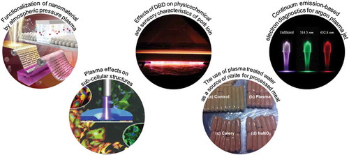 Figure 1. Remarkable results of atmospheric-pressure plasma research, from plasma diagnostics to applications [Citation17,Citation23,Citation24,Citation66,Citation84].Adapted by permission of each publisher.