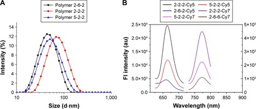 Figure 1 (A) Size distribution by intensity and (B) fluorescence spectra of the Cy5- and Cy7-labeled micelles (left, emission of Cy5; right, emission of Cy7).Abbreviations: Cy, cyanine; Fl, fluorescence; 2-2-2, MPEG 2000 Da-PCL 2000 Da-PEI 2000 Da; 2-6-2, MPEG 2000 Da-PCL 6000 Da-PEI 2000 Da; 5-2-2; MPEG 5000 Da-PCL 2000 Da-PEI 2000 Da.