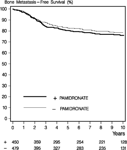 Figure 2.  Ten-year bone metastasis free survival in the pamidronate (light grey line) and control (black line) groups. Numbers below the X-axis show patients at risk.