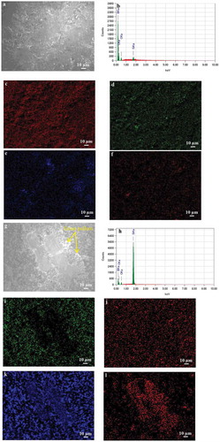 Figure 5. SEM images of worn surfaces of the B4C (a) and B4C-SiC (g) ceramics at 10 N. EDS analyses of Figure 5 (a): (b) and Figure 5 (g): (h). Elemental distributions of Figure 5 (a): (c) B; (d) C; (e) Si; (f) O, and of Figure 5 (g): (i) B; (j) C; (k) Si; (l) O.