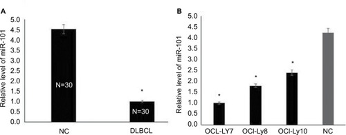 Figure 1 miR-101 had reduced expression levels in DLBCL.Notes: (A) miR-101 expression levels were measured in DLBCL and normal lymph node tissues by qRT-PCR. *Compared with NC, P<0.001. (B) miR-101 expression levels were measured in DLBCL cell lines by qRT-PCR. *Compared with NC, P<0.001.Abbreviations: DLBCL, diffuse large B cell lymphoma; NC, normal control.