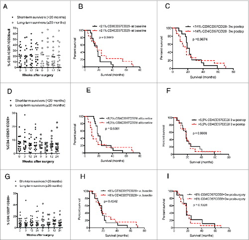 Figure 6. In GBM patients, levels of CD8+CD57+CD28−, CD4+CD57+CD28+ and CD8+CD57+CD28+ T cells do not correlate with survival (median values were used as a cut-off for Kaplan–Meier analysis) and did not differ in long-term vs. short-term survivors. (A–C) Survival did not differ in patients with high vs. low levels of CD8+CD57+CD28− T-cells as well as in short-term vs. long-term GBM survivors. (D–I) Survival did not differ in patients with high vs. low CD4+CD57+CD28+ or CD8+CD57+CD28+ T-cell levels as well as in short-term vs. long-term GBM survivors.