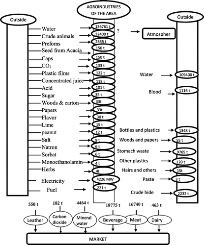 Figure 5. Industrial metabolism of SMAI in Niger.