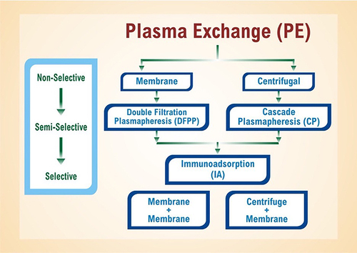 Figure 5 Plasma exchange filters blood in a three-step process: (1) membrane centrifugation, (2) plasmapheresis, and (3) immunoadsorption.