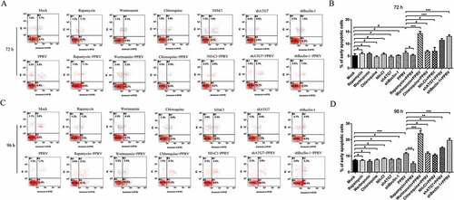 Figure 9. Inhibiting autophagosome formation accelerates apoptosis in EECs with PPRV infection. (a) EECs were pre-treated with rapamycin, wortmannin, NH4Cl, chloroquine, and shRNAs targeting Beclin-1 and ATG7 and then infected with PPRV (MOI = 1) for 72 h. The cell samples were dual-labelled with Annexin V and PI and analysed by flow cytometry. (b) Proportions of apoptotic cells in panel A. (c) EECs were pre-treated and infected with PPRV (MOI = 1) for 96 h. The cell samples were analysed by flow cytometry. (d) Proportions of apoptotic cells in panel C. The data represent the mean ± SD of three independent experiments. Two-way ANOVA; **P < 0.01; ***P < 0.001; #P > 0.05.