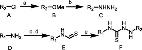 Scheme 1. (a) MeONa, MeOH, rt; (b) NH2NH2, MeOH; (c) CS2, TEA, THF, rt; (d) Boc2O, DMAP, 5 °C to rt; (e) C, CH3CN, TEA, rt. R1 = (o-tolyl)/(p-tolyl)/(3-chlorophenyl)/(2-chlorophenyl)/(4-(trifluoromethyl)phenyl)/(naphthalen-1-yl)/(3,5-dimethylphenyl); R2 = (2,6-dinitro-4-(trifluoromethyl)phenyl).