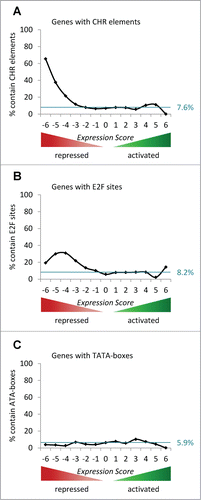 Figure 4. Genes repressed by p53 are enriched for CHRs which bind DREAM and E2F sites which recruit RB/E2F complexes. (A) The percentage of genes possessing a phylogenetically conserved CHR element in proximity to their TSS in each Expression Score group is displayed. The theoretical uniform distribution across the 13 Expression Score groups of genes with a phylogenetically conserved CHR element is indicated by the blue line (12.1% of 19,736 genes). (B) The percentage of genes harboring a phylogenetically conserved E2F site in proximity to their TSS in each Expression Score group is displayed. The theoretical uniform distribution across the 13 Expression Score groups of genes possessing a phylogenetically conserved E2F sites is indicated by the blue line (8.2% of 19,736 genes). (C) The percentage of genes with a phylogenetically conserved TATA-box in proximity to their TSS in each Expression Score group is displayed. The theoretical uniform distribution across the 13 Expression Score groups of genes holding a phylogenetically conserved TATA-box is indicated by the blue line (5.9% of 19,736 genes).