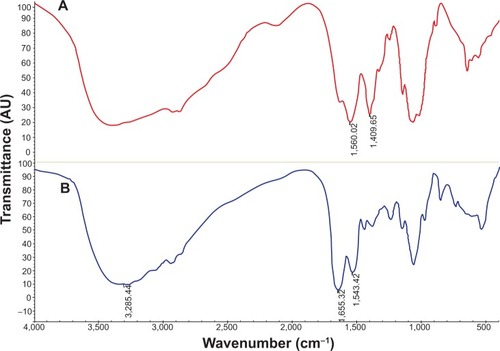 Figure 2 Infrared spectra of (A) chitosan and (B) TAT-LHRH-chitosan.Abbreviations: TAT-LHRH, transactivator of transcription – luteinizing hormone-releasing hormone; AU, arbitrary units.