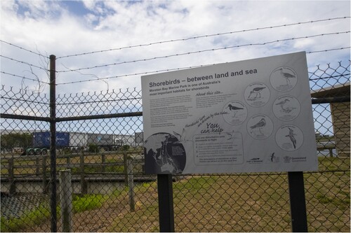Figure 12. Fence with shorebird information sign nearby the birdwatching platform at the Port of Brisbane.