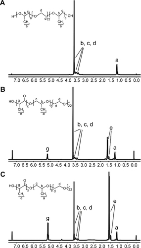 Figure S1 1H NMR test.Notes: The 1H NMR spectrum of 10R5 (A); PLA–10R5–PLA, Mn=4.6×103 (B); and PLA–10R5–PLA, Mn=19.8×103 (C).Abbreviations: 1H NMR, 1H nuclear magnetic resonance spectroscopy; PLA, polylactic acid; 10R5, reverse Pluronic®10R5; Mn, number-average molecular weight.