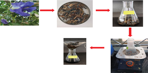 Figure 1. Extract of blue tea (Clitoria Ternatea).