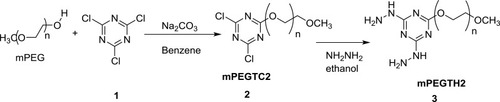 Scheme 1 Synthesis of mPEGTH2.
