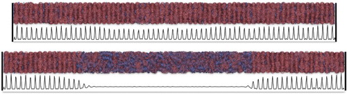 Figure 6. Representative configurations of systems comprising N=8000 nanorings in planar confinement with a transverse simulation box length of obtained by molecular-dynamics simulation. The longitudinal box lengths correspond to (bottom) and (top). Particles are shaded according to their orientations with respect to the planar wall. The corresponding packing fraction profiles are also shown in each snapshot to aid visualisation of the layers.