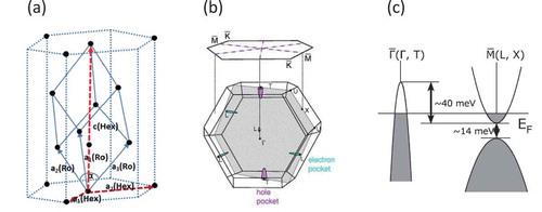 Figure 1. Crystalline and electronic structures of bulk Bi. (a) Rhombohedral structure. The basic lattice vectors in rhombohedral and hexagonal indices are indicated by the suffixes (Ro) and (Hex), respectively. In this article, we adopt the rhombohedral index. (b) Brillouin zone and (c) semimetallic band structure of bulk Bi with the rhombohedral structure. Reprinted with permission from (a) [Citation3], (b) [Citation15], and (c) [Citation21]