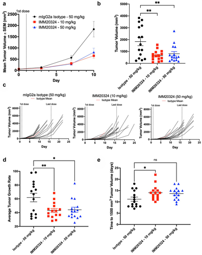Figure 6. IMM20324 inhibits growth of B16.F10 tumors in vivo. (a–e) Mice were randomized at D0 based on tumor volume and treated with 10 or 50 mg/kg dose of IMM20324 or isotype control intraperitoneally every 3days for six total doses. Tumor volumes were measured every 3 days. Tumor growth curves were fitted with exponential model. (a) Mean tumor volume up to D 10. (b) Interim tumor volumes of individual animal on D10. (c) Growth curves of individual animal from the indicated group over the duration of the study. (d) Calculated average tumor growth rate over the duration of study. (e) Calculated days when tumor volume reaches 1500 mm3 based on fitting of tumor growth curve. * p < 0.05, ** p < 0.01, ns = not significant.