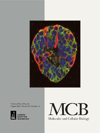 Cover image for Molecular and Cellular Biology, Volume 36, Issue 16, 2016