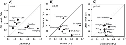 FIGURE 3. Scatter plots comparing the amount of change observed among the three biological indicators using a Bray-Curtis dissimilarity coefficient (DC) for (A) diatoms versus chironomids, (B) diatoms versus cladocerans, and (C) chironomids versus cladocerans. A similar number of lakes plotted above and below the 1:1 line in (A) and a Wilcoxon-signed-rank test established that DCs for both diatoms and chironomids were not significantly different, suggesting that both biological indicators underwent similar magnitudes of change between top and bottom assemblages. The majority of lakes plotted above the 1:1 lines for both (B) and (C) and a Wilcoxon-signed-rank test indicated that changes in both diatoms and chironomids were significantly greater than changes recorded between tops and bottoms for cladocerans.