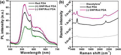 Figure 3. (a) PL spectra of Red PDA, (+) GNP/Red PDA, and (–) GNP/Red PDA7 days after solution preparation. (b) Raman spectra of Diacetylene# (non-photopolymerized PCDA liposome) Red PDA, and (–) GNP/Red PDA.2−8dilution of stock (–) GNPs were used for complexing with PDA liposome.